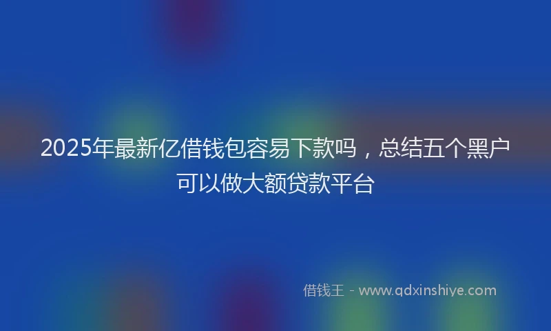 2025年最新亿借钱包容易下款吗，总结五个黑户可以做大额贷款平台