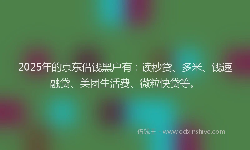 2025年的京东借钱黑户有：读秒贷、多米、钱速融贷、美团生活费、微粒快贷等。