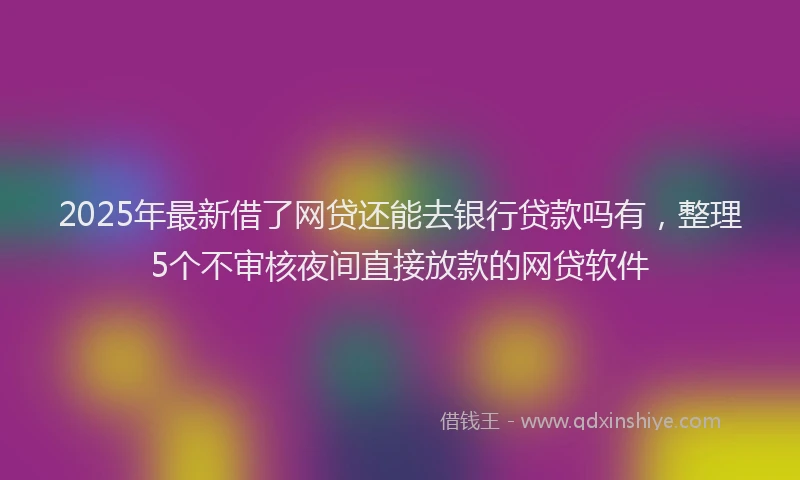 2025年最新借了网贷还能去银行贷款吗有，整理5个不审核夜间直接放款的网贷软件
