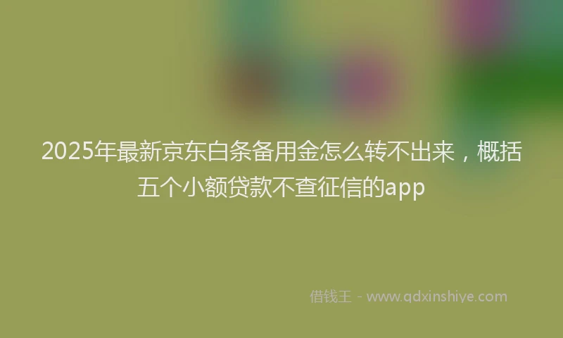 2025年最新京东白条备用金怎么转不出来，概括五个小额贷款不查征信的app