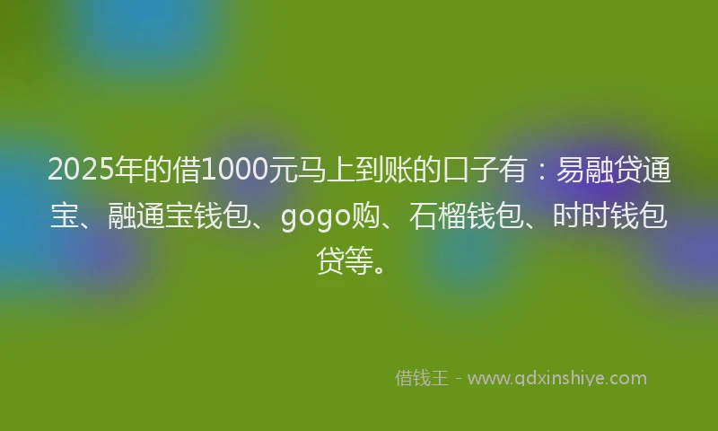 2025年的借1000元马上到账的口子有：易融贷通宝、融通宝钱包、gogo购、石榴钱包、时时钱包贷等。