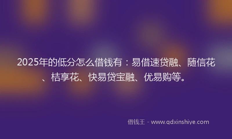2025年的低分怎么借钱有：易借速贷融、随信花、桔享花、快易贷宝融、优易购等。