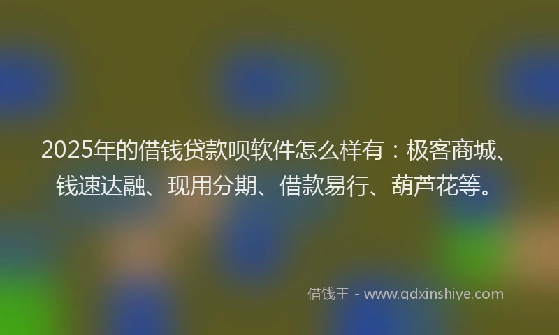 2025年的借钱贷款呗软件怎么样有：极客商城、钱速达融、现用分期、借款易行、葫芦花等。