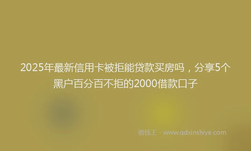 2025年最新信用卡被拒能贷款买房吗，分享5个黑户百分百不拒的2000借款口子