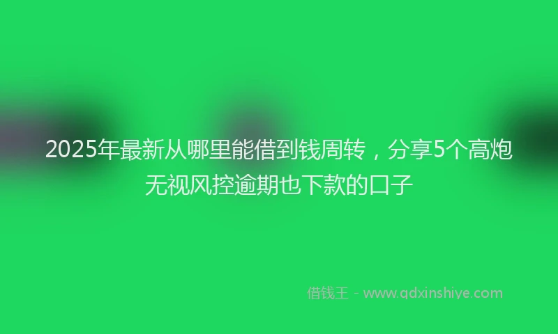 2025年最新从哪里能借到钱周转，分享5个高炮无视风控逾期也下款的口子