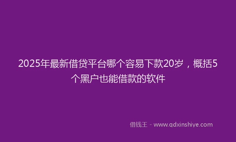 2025年最新借贷平台哪个容易下款20岁，概括5个黑户也能借款的软件