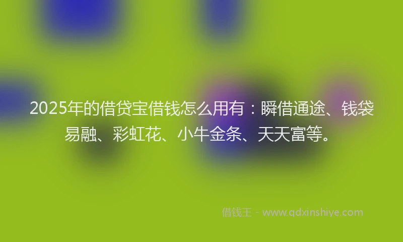 2025年的借贷宝借钱怎么用有：瞬借通途、钱袋易融、彩虹花、小牛金条、天天富等。