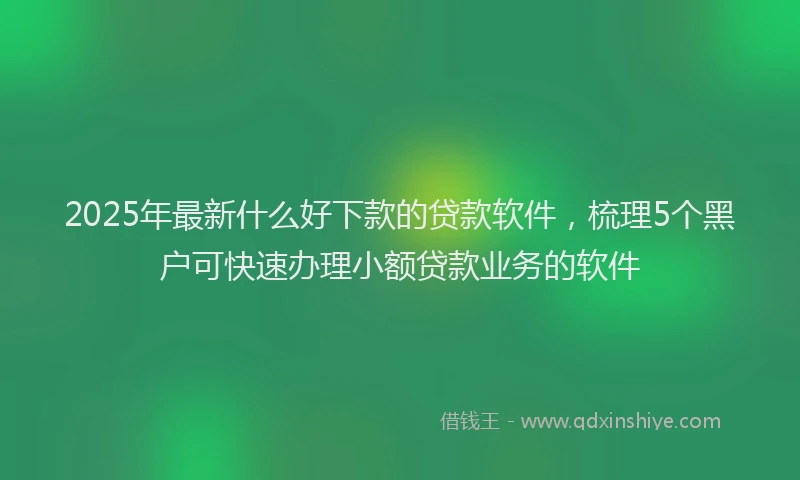 2025年最新什么好下款的贷款软件，梳理5个黑户可快速办理小额贷款业务的软件