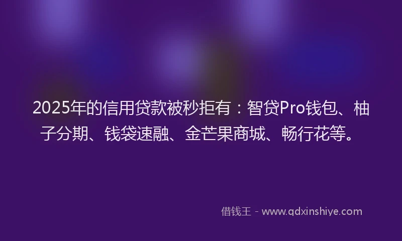 2025年的信用贷款被秒拒有：智贷Pro钱包、柚子分期、钱袋速融、金芒果商城、畅行花等。