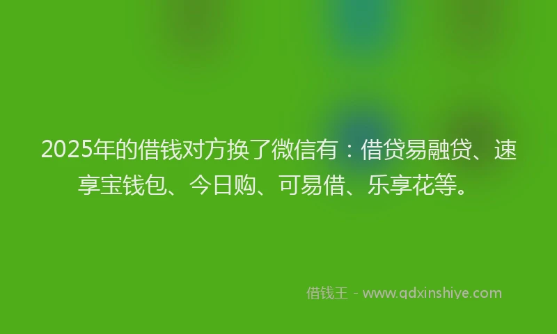2025年的借钱对方换了微信有：借贷易融贷、速享宝钱包、今日购、可易借、乐享花等。