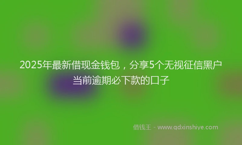 2025年最新借现金钱包，分享5个无视征信黑户当前逾期必下款的口子