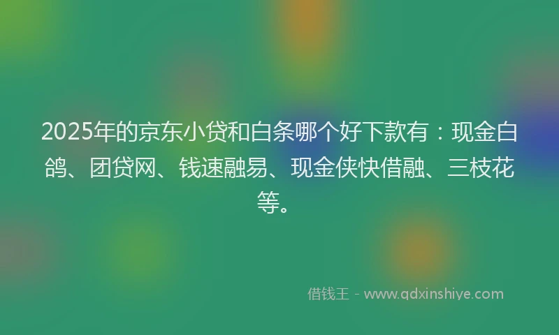 2025年的京东小贷和白条哪个好下款有：现金白鸽、团贷网、钱速融易、现金侠快借融、三枝花等。