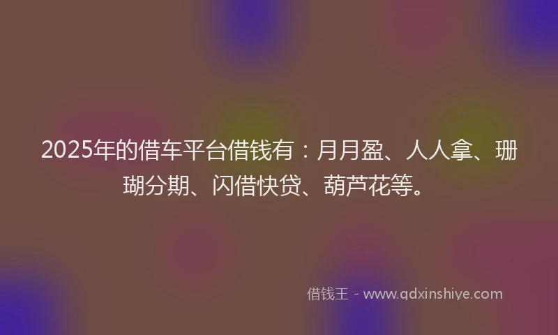 2025年的借车平台借钱有：月月盈、人人拿、珊瑚分期、闪借快贷、葫芦花等。