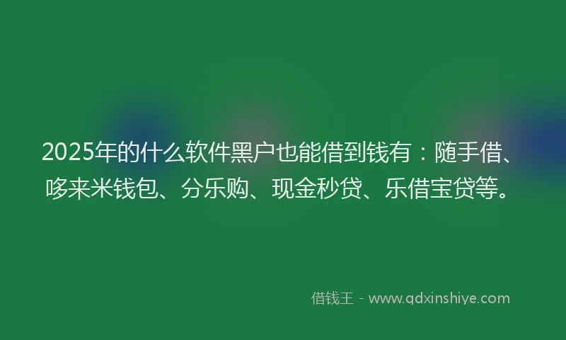 2025年的什么软件黑户也能借到钱有：随手借、哆来米钱包、分乐购、现金秒贷、乐借宝贷等。
