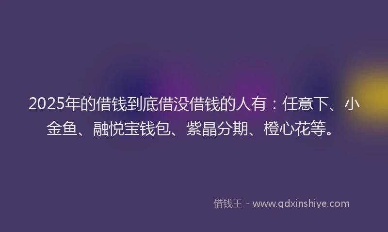 2025年的借钱到底借没借钱的人有：任意下、小金鱼、融悦宝钱包、紫晶分期、橙心花等。