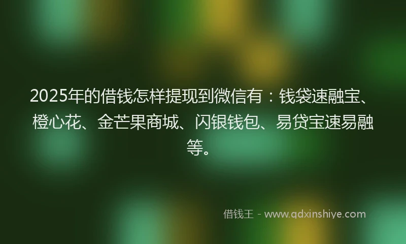 2025年的借钱怎样提现到微信有：钱袋速融宝、橙心花、金芒果商城、闪银钱包、易贷宝速易融等。