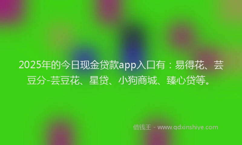 2025年的今日现金贷款app入口有：易得花、芸豆分-芸豆花、星贷、小狗商城、臻心贷等。
