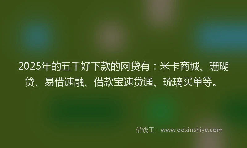 2025年的五千好下款的网贷有：米卡商城、珊瑚贷、易借速融、借款宝速贷通、琉璃买单等。