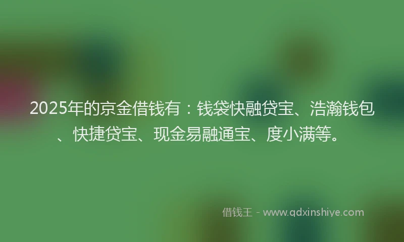 2025年的京金借钱有：钱袋快融贷宝、浩瀚钱包、快捷贷宝、现金易融通宝、度小满等。