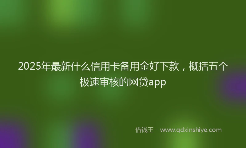 2025年最新什么信用卡备用金好下款，概括五个极速审核的网贷app