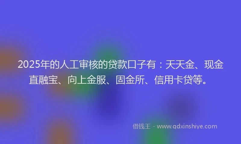 2025年的人工审核的贷款口子有：天天金、现金直融宝、向上金服、固金所、信用卡贷等。