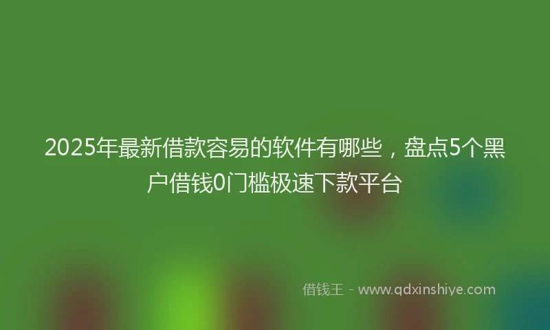 2025年最新借款容易的软件有哪些，盘点5个黑户借钱0门槛极速下款平台