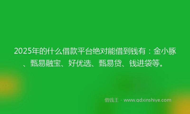 2025年的什么借款平台绝对能借到钱有：金小豚、甄易融宝、好优选、甄易贷、钱进袋等。