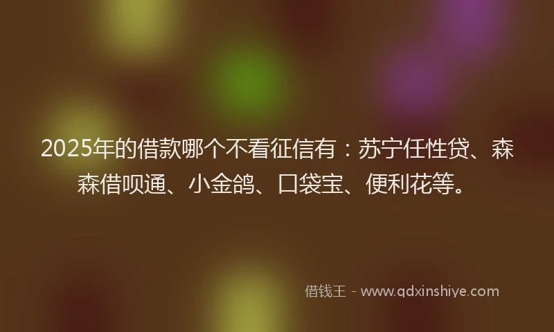 2025年的借款哪个不看征信有：苏宁任性贷、森森借呗通、小金鸽、口袋宝、便利花等。