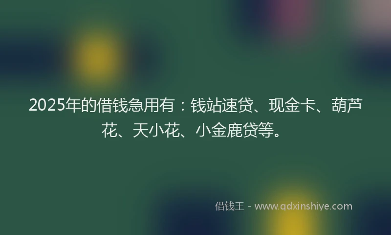 2025年的借钱急用有：钱站速贷、现金卡、葫芦花、天小花、小金鹿贷等。
