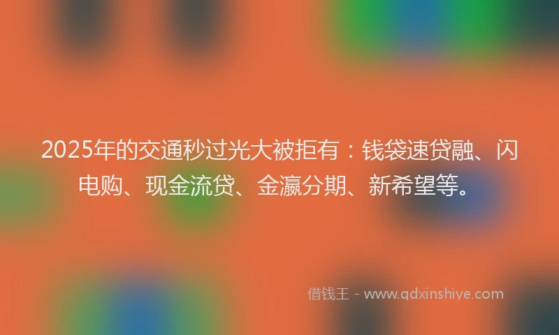2025年的交通秒过光大被拒有：钱袋速贷融、闪电购、现金流贷、金瀛分期、新希望等。