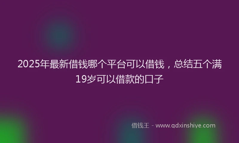2025年最新借钱哪个平台可以借钱，总结五个满19岁可以借款的口子