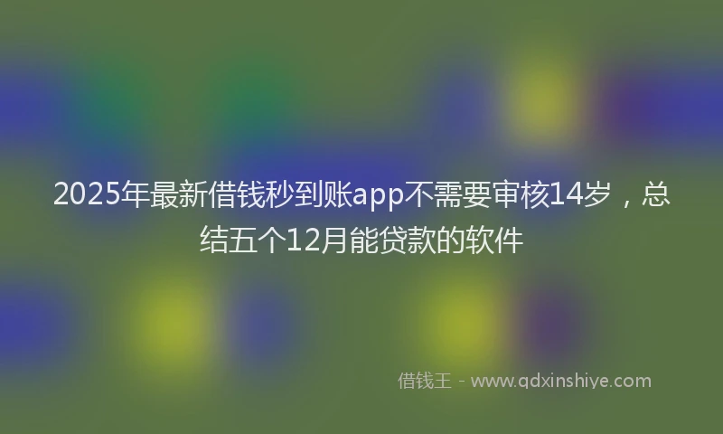 2025年最新借钱秒到账app不需要审核14岁，总结五个12月能贷款的软件