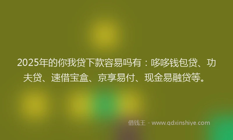 2025年的你我贷下款容易吗有：哆哆钱包贷、功夫贷、速借宝盒、京享易付、现金易融贷等。