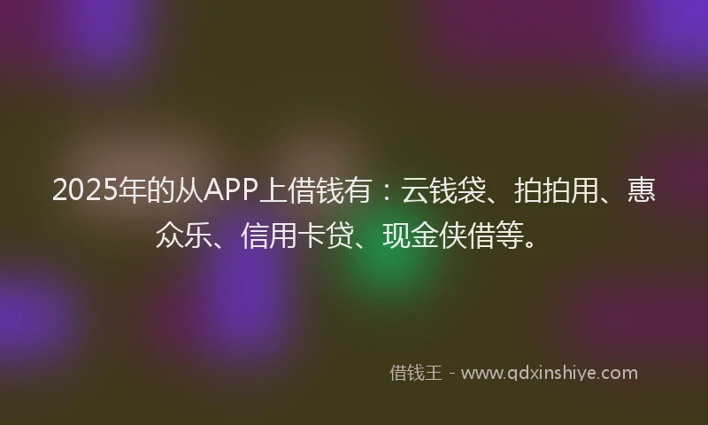 2025年的从APP上借钱有：云钱袋、拍拍用、惠众乐、信用卡贷、现金侠借等。