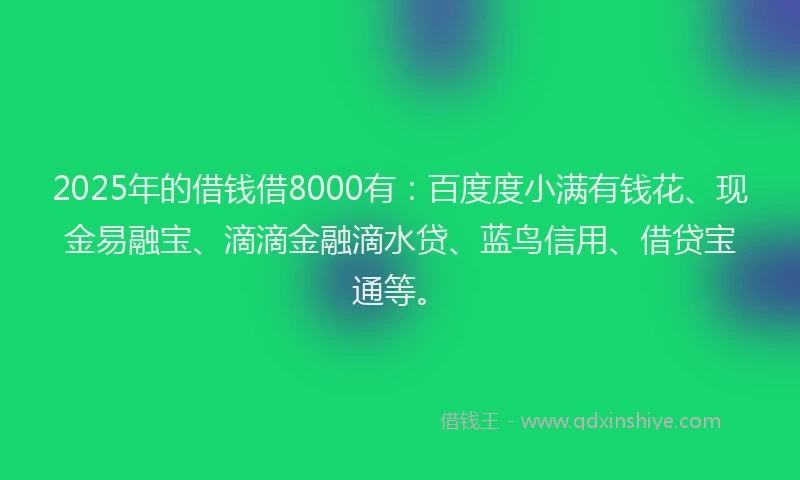 2025年的借钱借8000有：百度度小满有钱花、现金易融宝、滴滴金融滴水贷、蓝鸟信用、借贷宝通等。