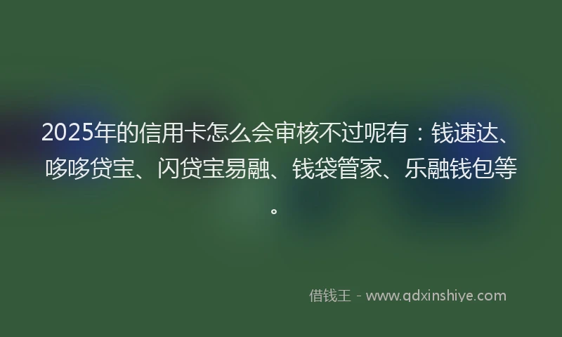 2025年的信用卡怎么会审核不过呢有：钱速达、哆哆贷宝、闪贷宝易融、钱袋管家、乐融钱包等。