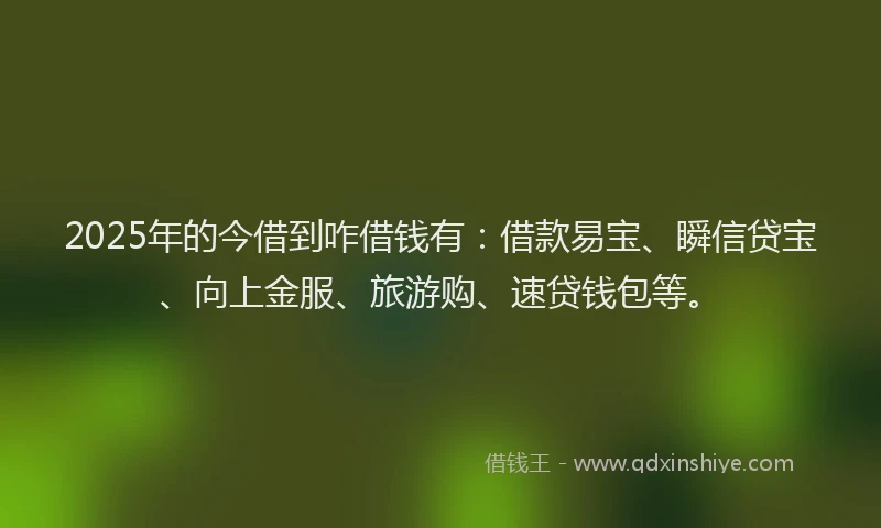 2025年的今借到咋借钱有：借款易宝、瞬信贷宝、向上金服、旅游购、速贷钱包等。