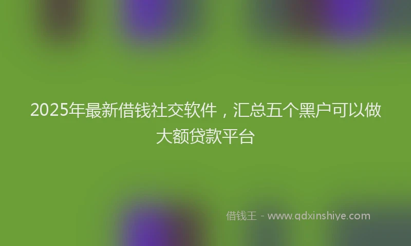 2025年最新借钱社交软件，汇总五个黑户可以做大额贷款平台