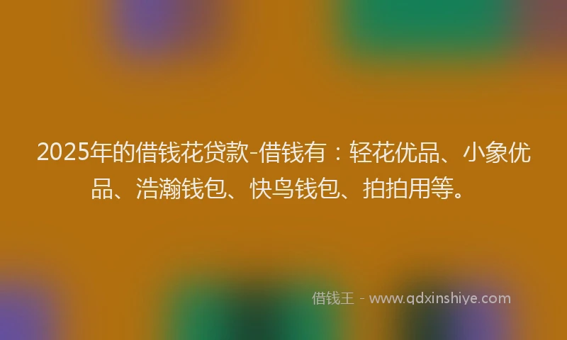 2025年的借钱花贷款-借钱有：轻花优品、小象优品、浩瀚钱包、快鸟钱包、拍拍用等。