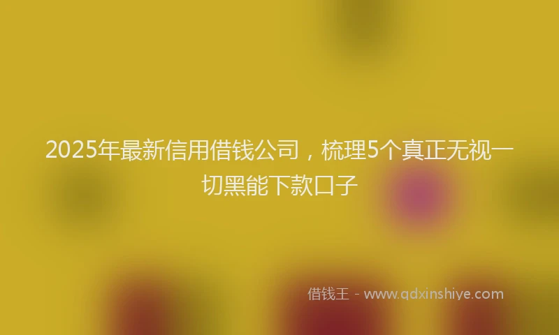 2025年最新信用借钱公司，梳理5个真正无视一切黑能下款口子