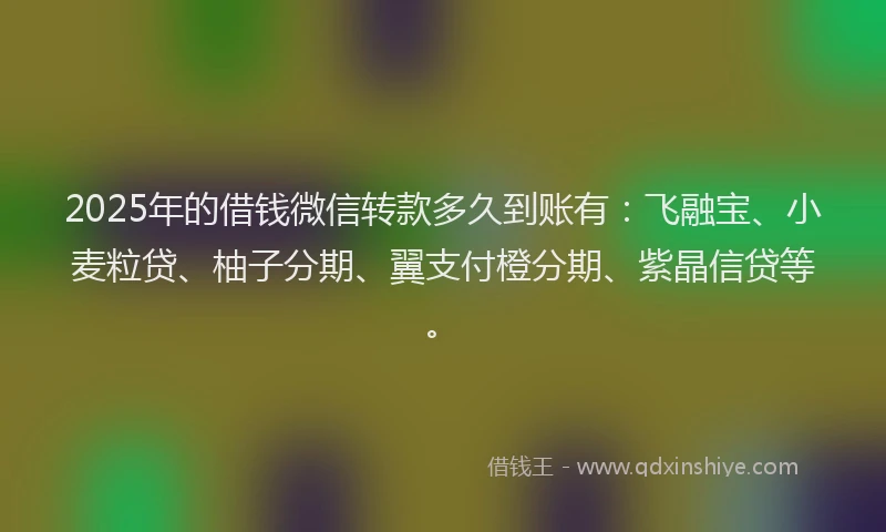 2025年的借钱微信转款多久到账有：飞融宝、小麦粒贷、柚子分期、翼支付橙分期、紫晶信贷等。