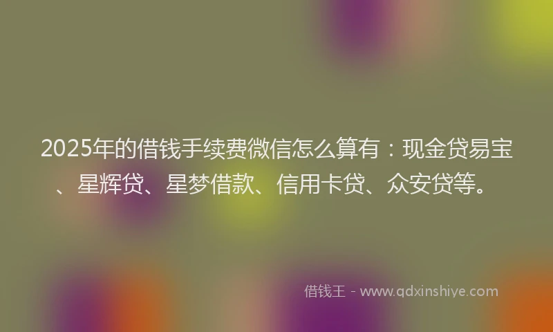 2025年的借钱手续费微信怎么算有：现金贷易宝、星辉贷、星梦借款、信用卡贷、众安贷等。