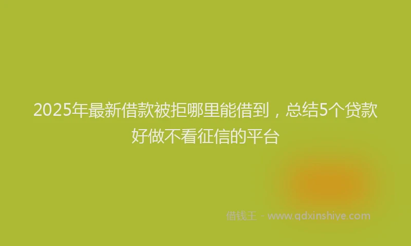 2025年最新借款被拒哪里能借到，总结5个贷款好做不看征信的平台