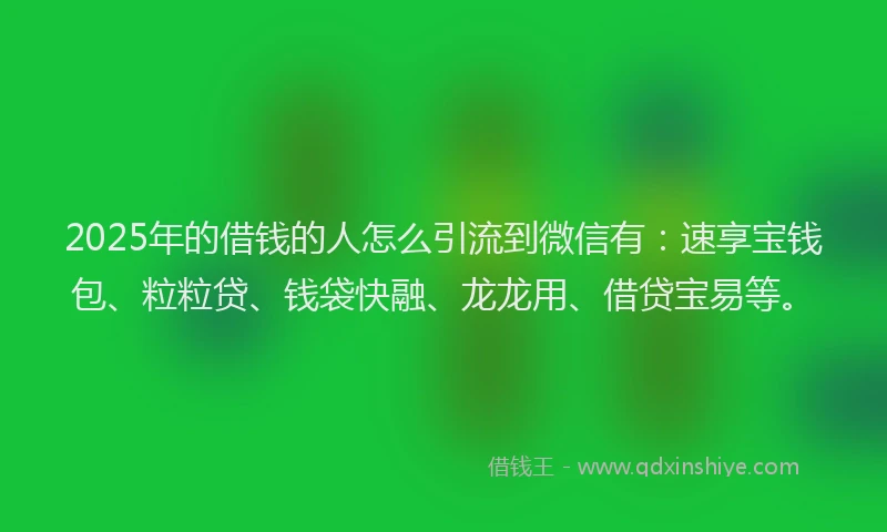 2025年的借钱的人怎么引流到微信有：速享宝钱包、粒粒贷、钱袋快融、龙龙用、借贷宝易等。