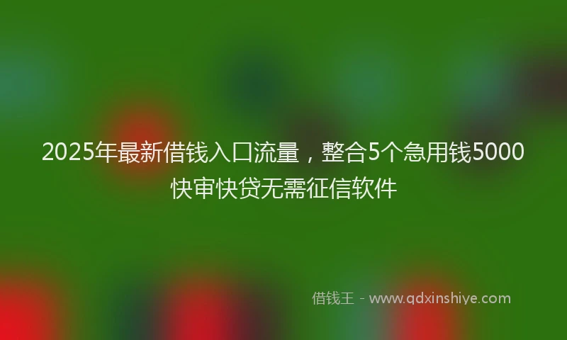 2025年最新借钱入口流量，整合5个急用钱5000快审快贷无需征信软件
