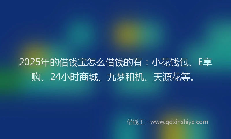 2025年的借钱宝怎么借钱的有：小花钱包、E享购、24小时商城、九梦租机、天源花等。