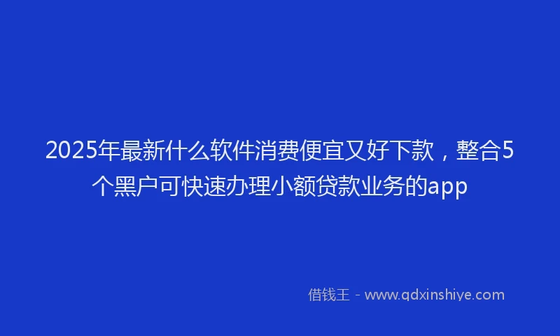 2025年最新什么软件消费便宜又好下款，整合5个黑户可快速办理小额贷款业务的app