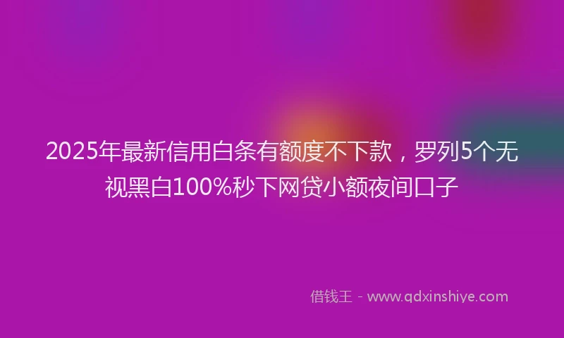 2025年最新信用白条有额度不下款，罗列5个无视黑白100%秒下网贷小额夜间口子