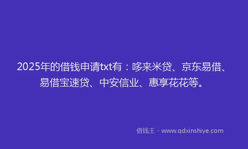 2025年的借钱申请txt有：哆来米贷、京东易借、易借宝速贷、中安信业、惠享花花等。