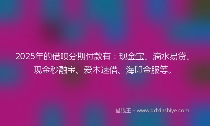 2025年的借呗分期付款有：现金宝、滴水易贷、现金秒融宝、爱木速借、海印金服等。
